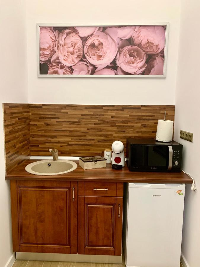 Art Nouveau Apartment Ultracentral Oradea Ngoại thất bức ảnh