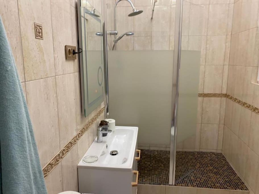 Art Nouveau Apartment Ultracentral Oradea Ngoại thất bức ảnh