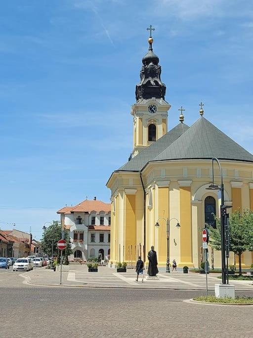 Art Nouveau Apartment Ultracentral Oradea Ngoại thất bức ảnh