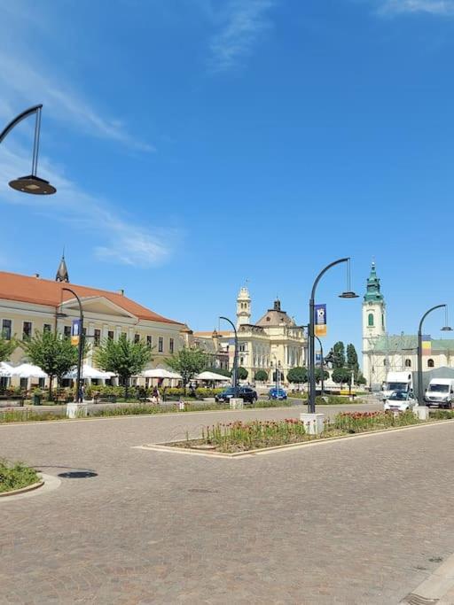 Art Nouveau Apartment Ultracentral Oradea Ngoại thất bức ảnh